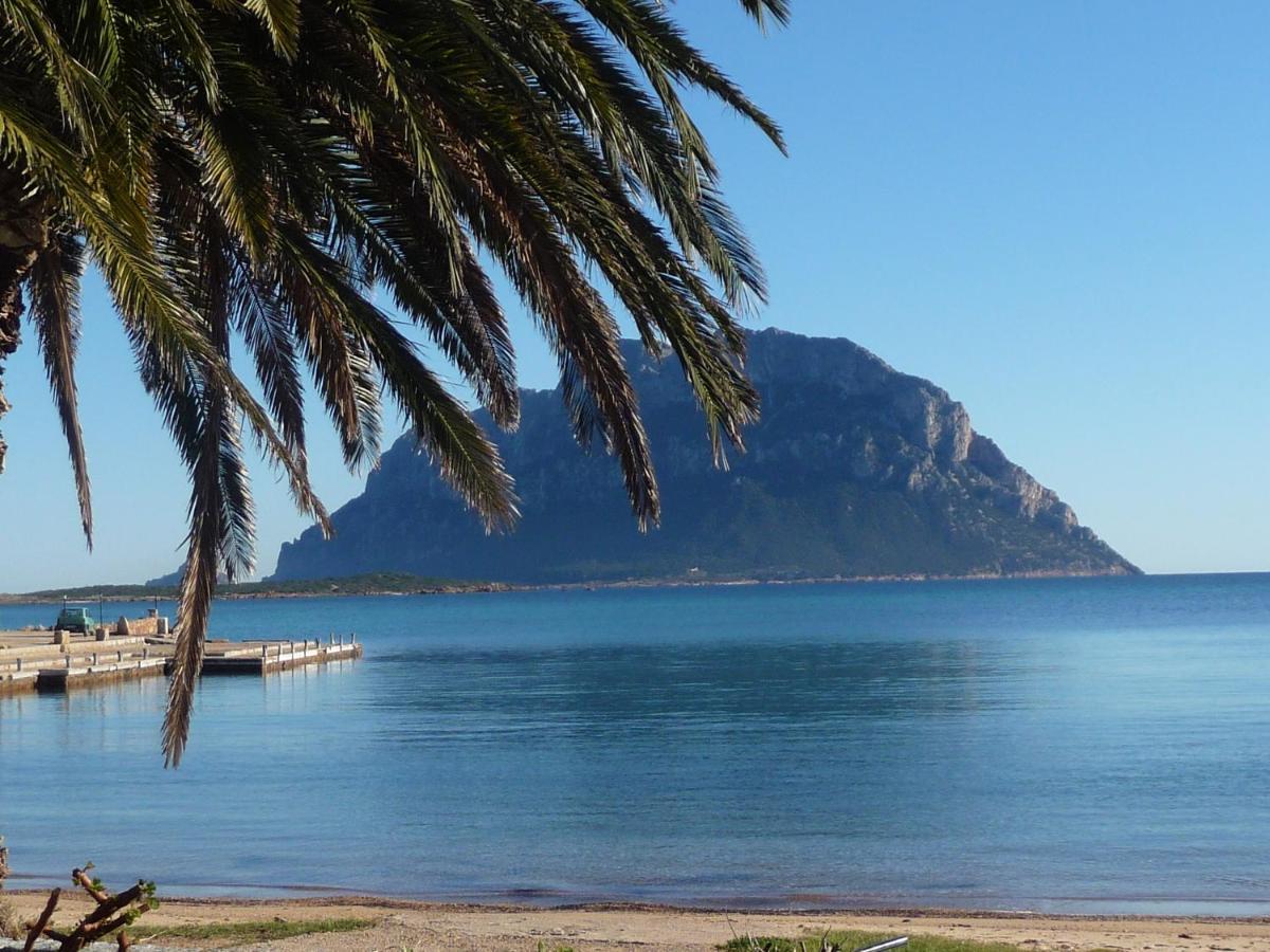 Frina di Mari b&b San Teodoro  Bagian luar foto