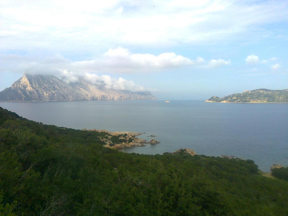 Frina di Mari b&b San Teodoro  Bagian luar foto