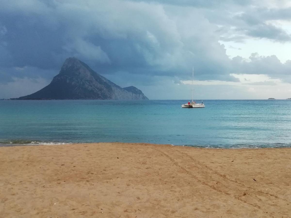 Frina di Mari b&b San Teodoro  Bagian luar foto