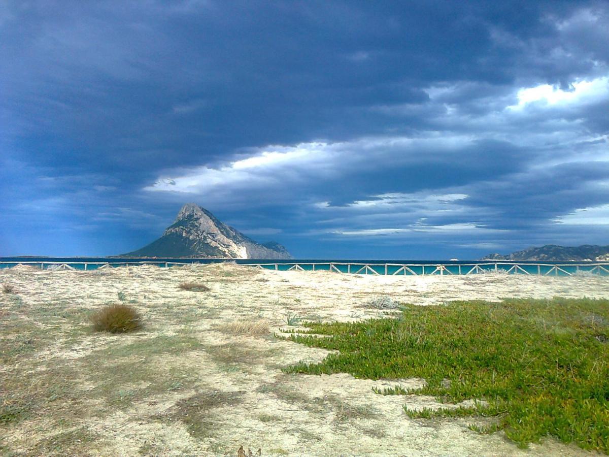 Frina di Mari b&b San Teodoro  Bagian luar foto
