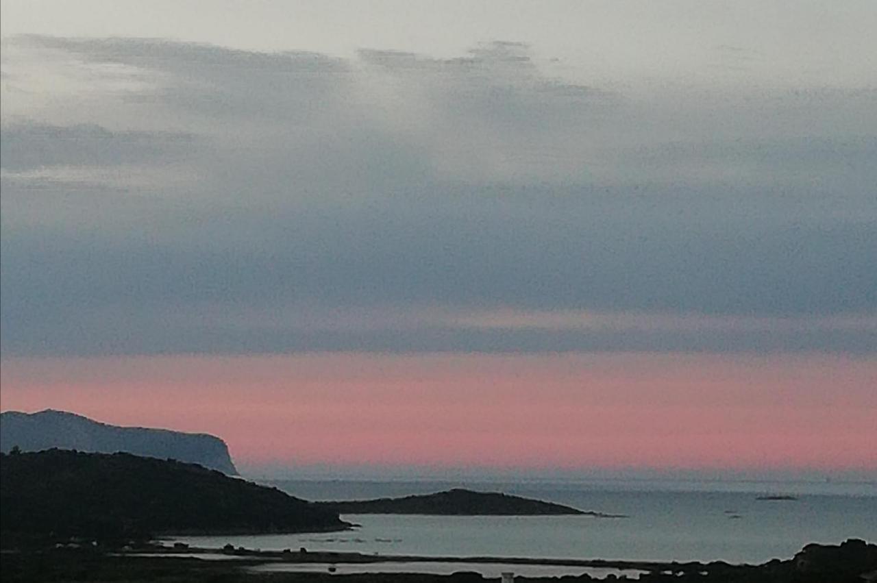 Frina di Mari b&b San Teodoro  Bagian luar foto
