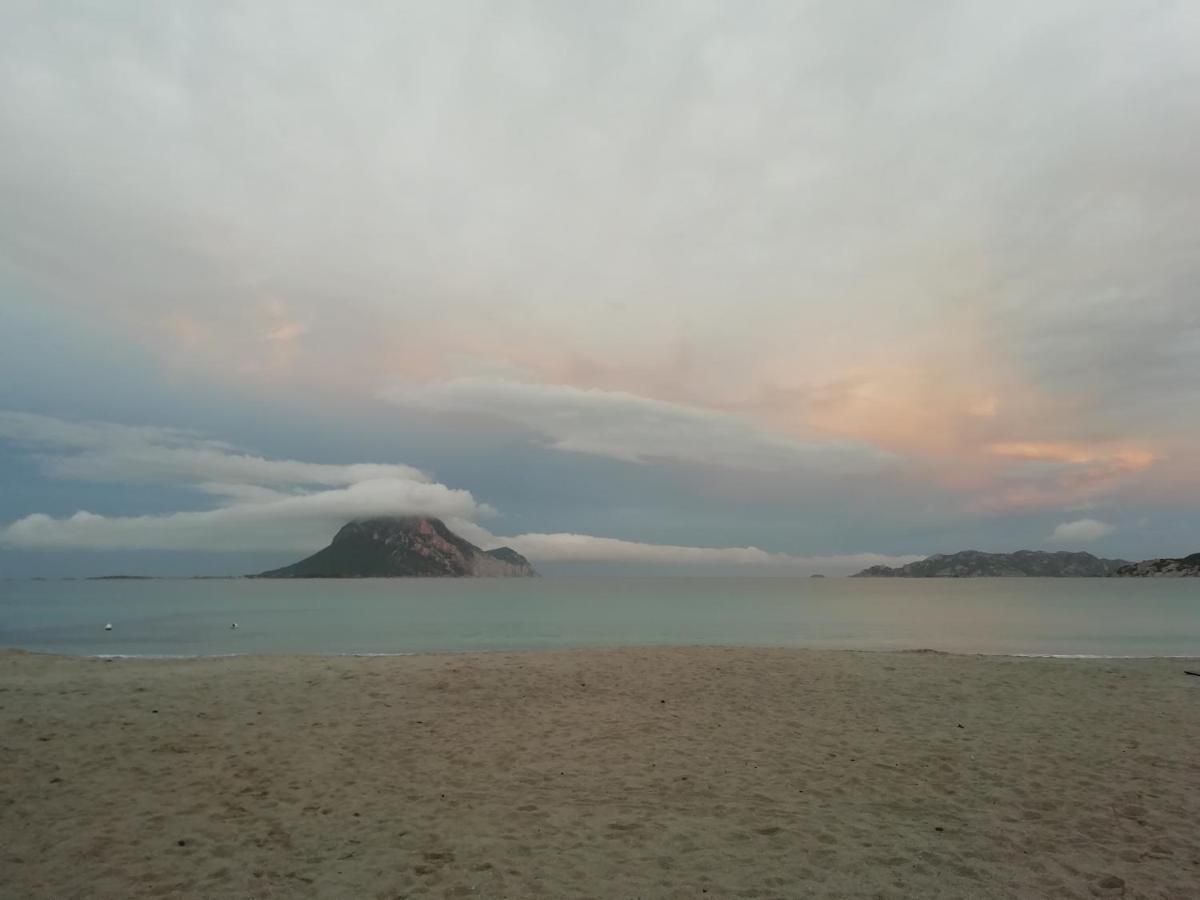 Frina di Mari b&b San Teodoro  Bagian luar foto