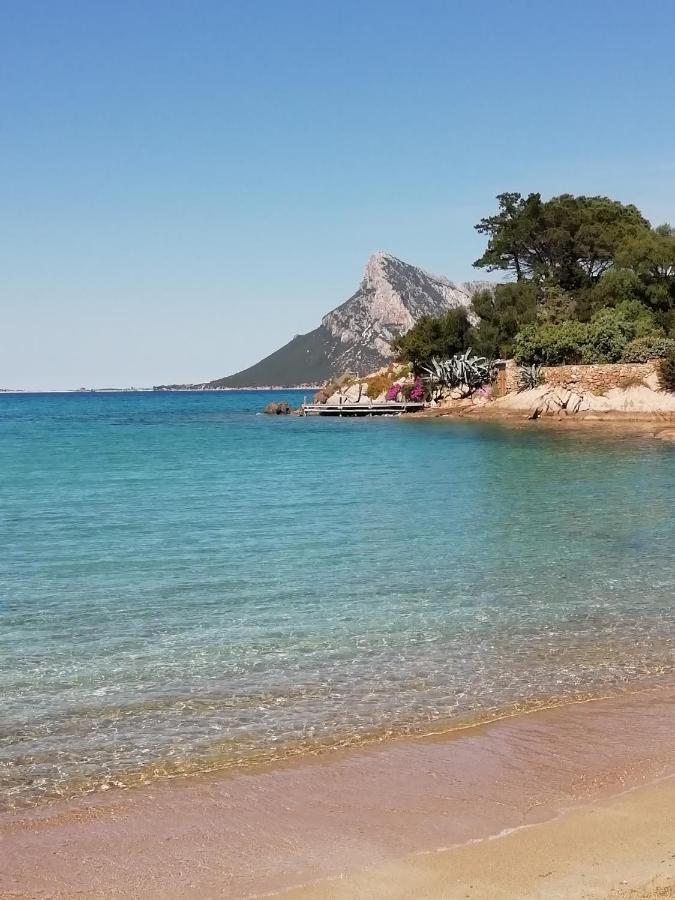 Frina di Mari b&b San Teodoro  Bagian luar foto