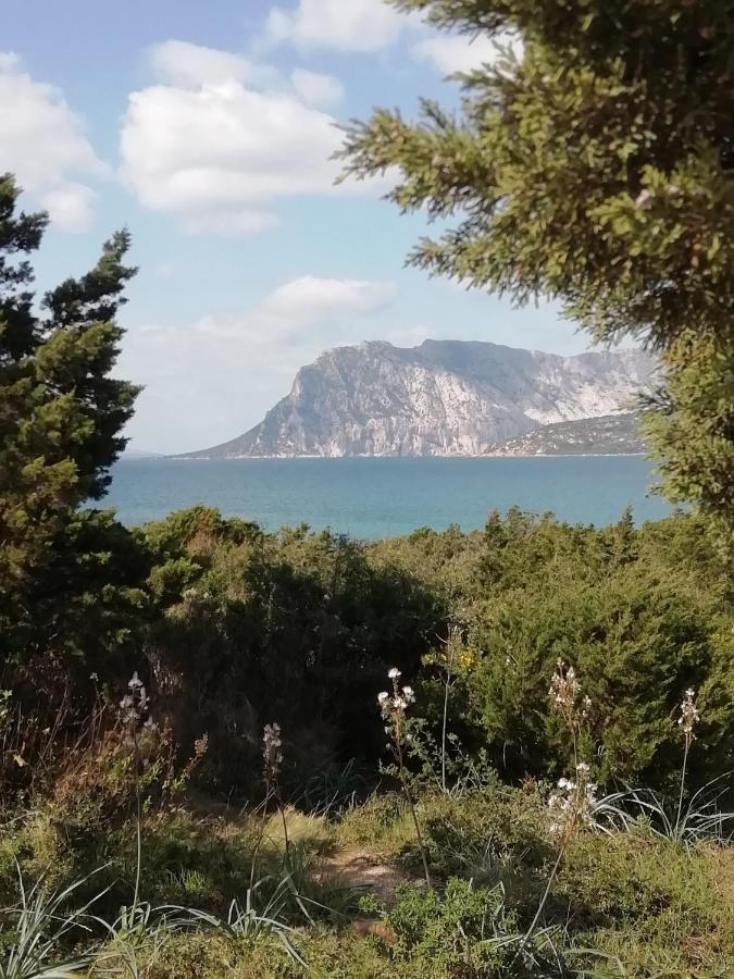 Frina di Mari b&b San Teodoro  Bagian luar foto